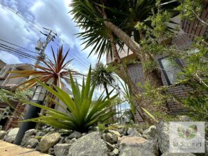 三浦市　外構　庭　デザイン　植栽