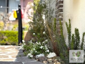 横須賀市新築外構　植栽