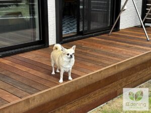 横須賀市　ウッドデッキ　アイアンウッド